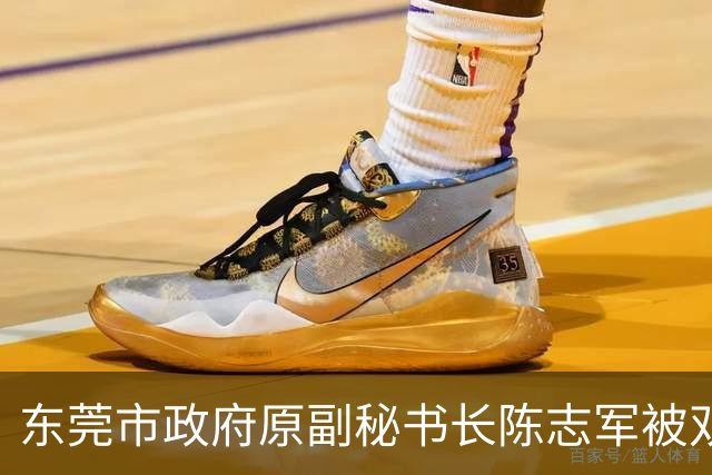 东莞市政府原副秘书长陈志军被双开