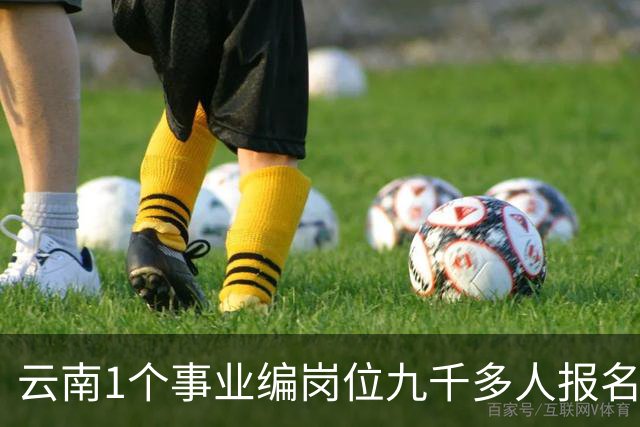 云南1个事业编岗位九千多人报名，仅报名费收了近70万，被称“卷王之王”