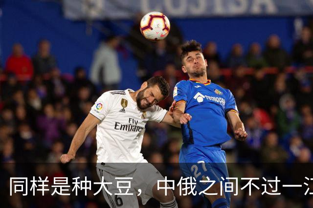 同样是种大豆，中俄之间不过一江之隔，为何产量却差近一倍？