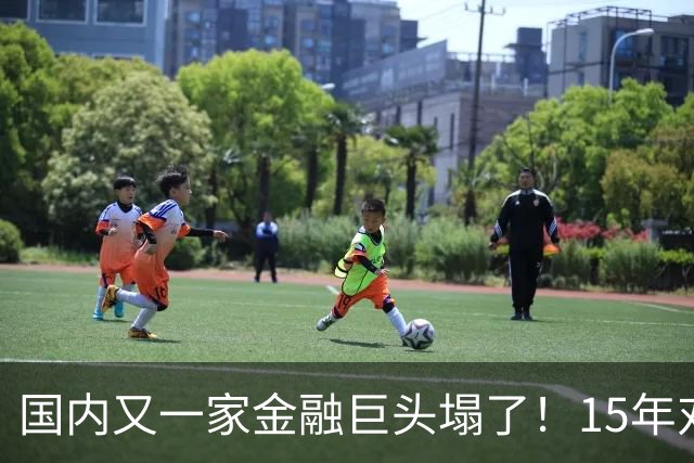 国内又一家金融巨头塌了！15年对顾客零违约，合着是拿新钱填旧坑