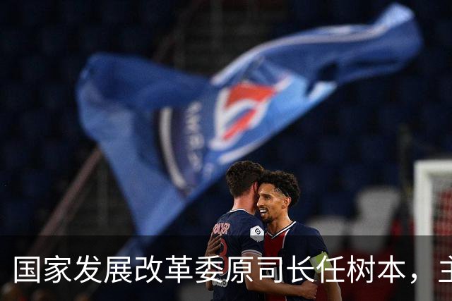 国家发展改革委原司长任树本，主动投案