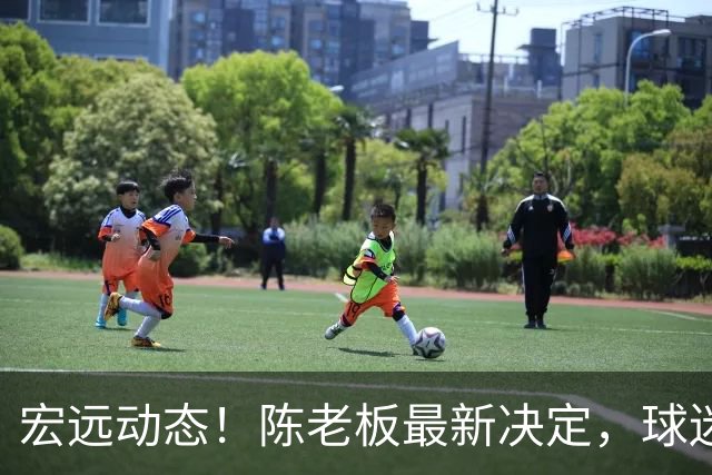 宏远动态！陈老板最新决定，球迷呼吁锋雨回归，胡明轩亚帅传来重要消息