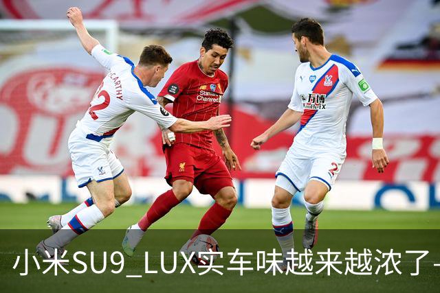 小米SU9 LUX实车味越来越浓了—加长的5.2米，到底长在了谁身上？