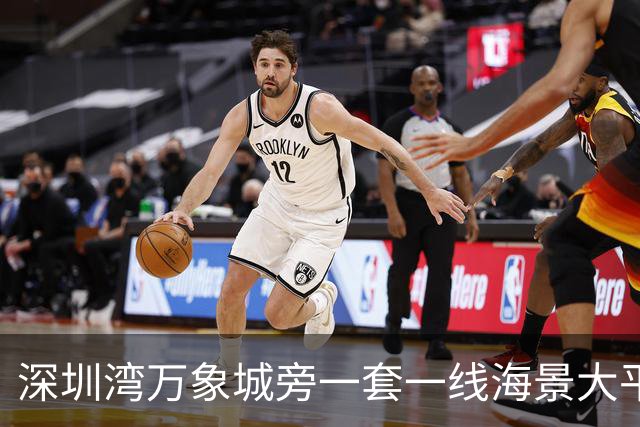 深圳湾万象城旁一套一线海景大平层拍卖，被人5827万竞得