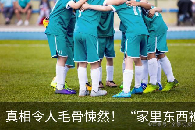真相令人毛骨悚然！“家里东西被移动过！”上海阿姨感觉不对劲，女儿查看路由器：某日异常停电10分钟…