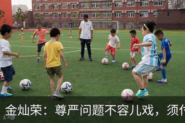 金灿荣：尊严问题不容儿戏，须付出应有的代价