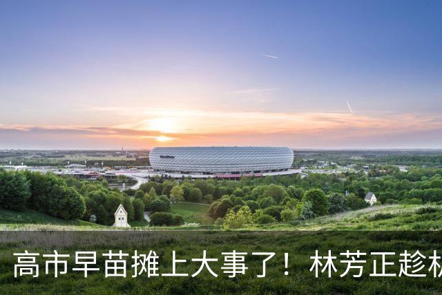 高市早苗摊上大事了！林芳正趁机逼宫高市，要为远大前程撒手一搏