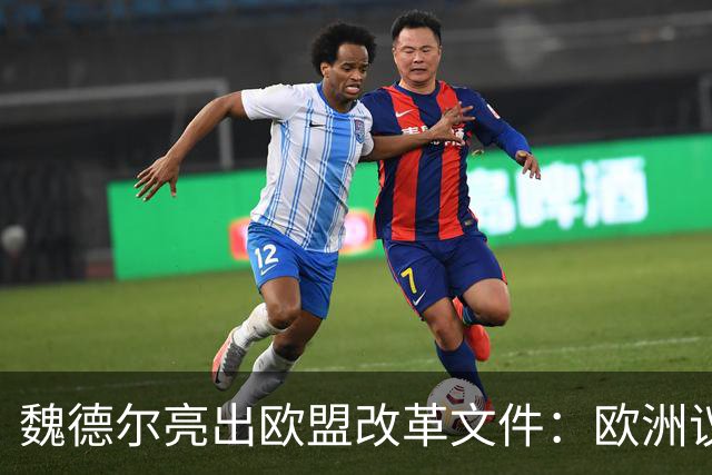 魏德尔亮出欧盟改革文件：欧洲议员不再直选，改由各国议会指派