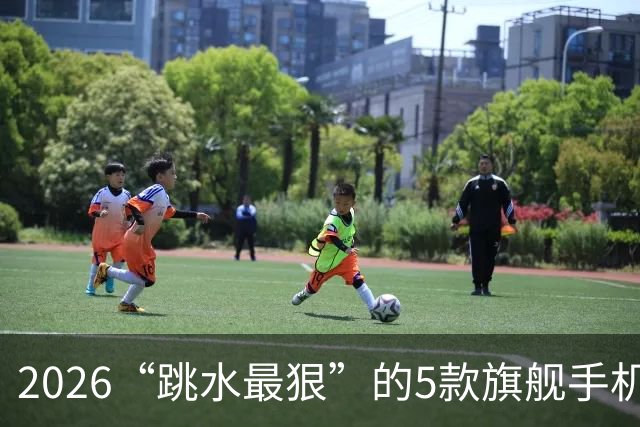 2026“跳水最狠”的5款旗舰手机，双十一入手不亏，用五年不淘汰